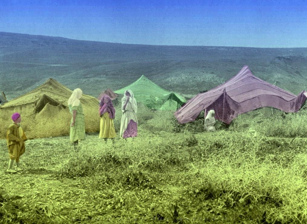 VESTIGES ROMAINS ET HAUTS PLATEAU 00016 CAMPEMENT DE NOMADES SUR LES HAUTS PLATEAUX.jpg